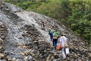 241637723723150474.png 圖片17_副本_副本.png